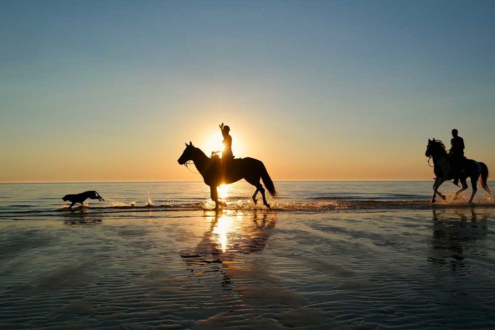 Ibiza Horse Valley