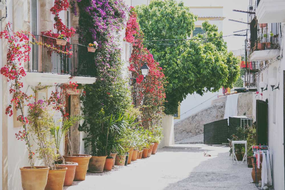 Ibiza Old Town