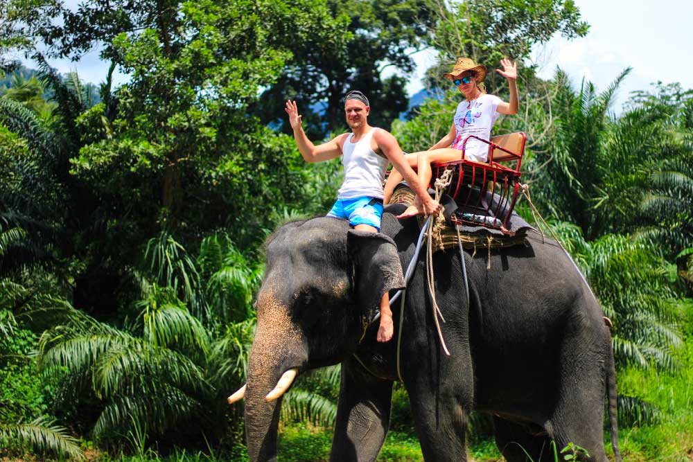 Jungla di Phuket