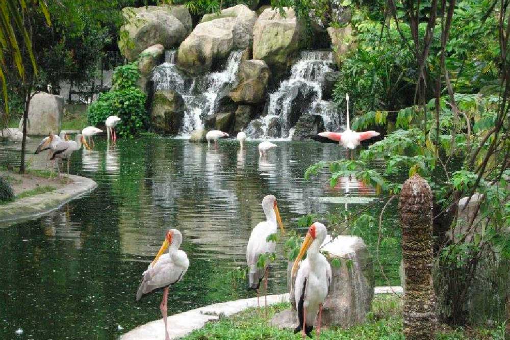 Kuala Lumpur Bird Park