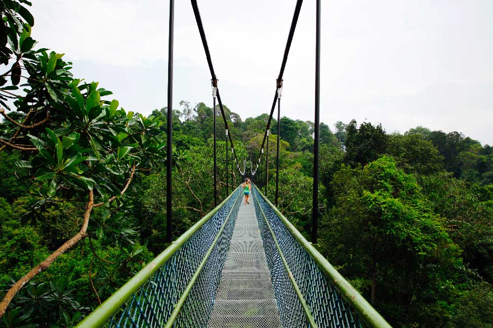 MacRitchie Reservoir