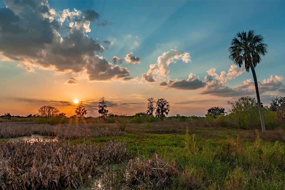 Parco Nazionale Everglades