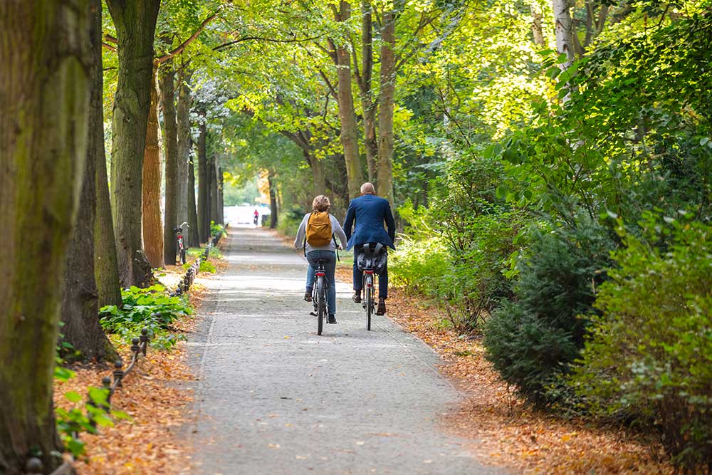 passeggiata al parco Tiergarten