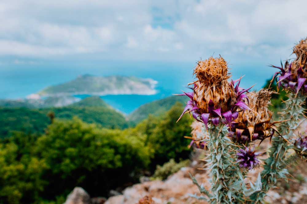 Monte Ainos Cefalonia