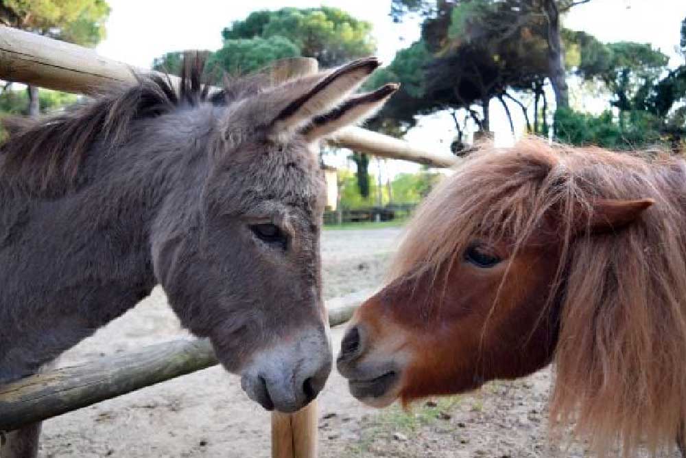 Parco Naturale Cervia