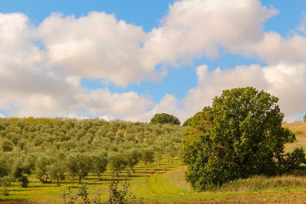 Parco Nazionale dell'Alta Murgia