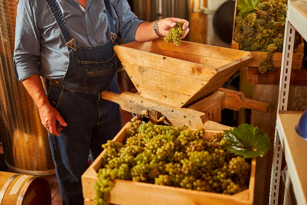 Azienda vinicola Lefkaditiki Gi Lefkada