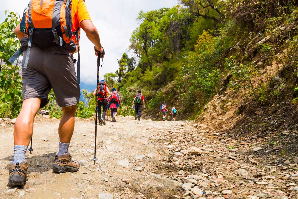 Trekking a Paxos