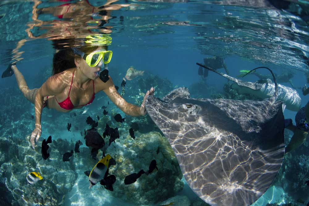 snorkeling Isola del Giglio