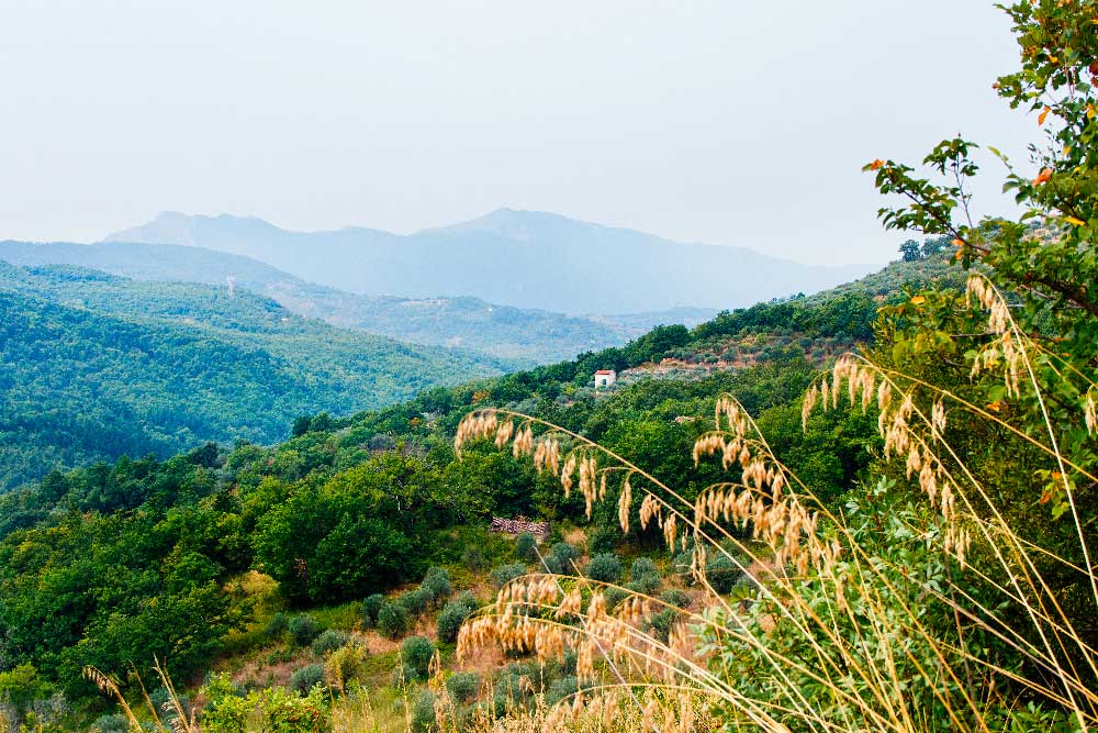 Parco Nazionale del Cilento