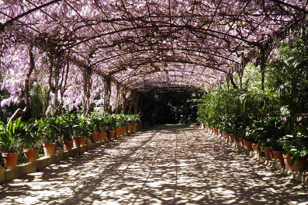 Orto Botanico di Malaga