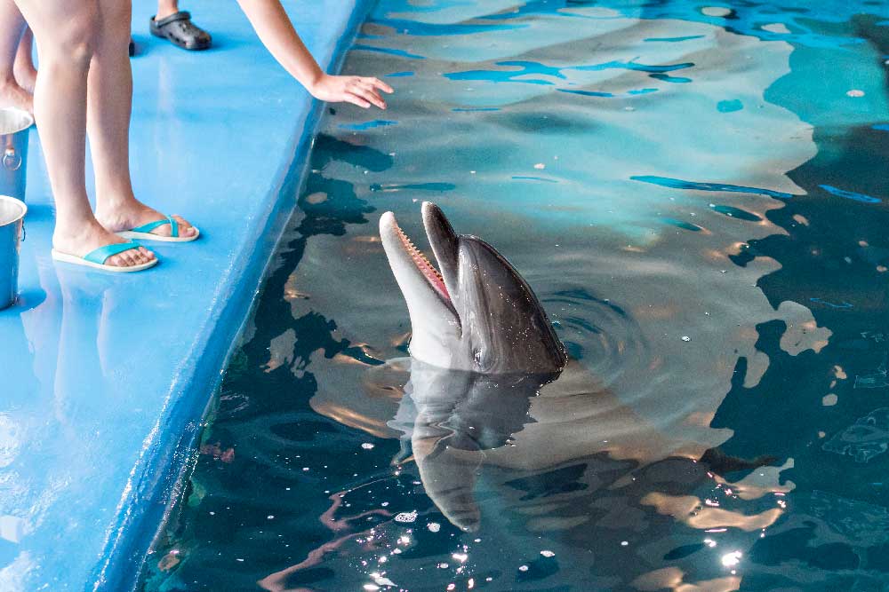 MarinelandMallorca