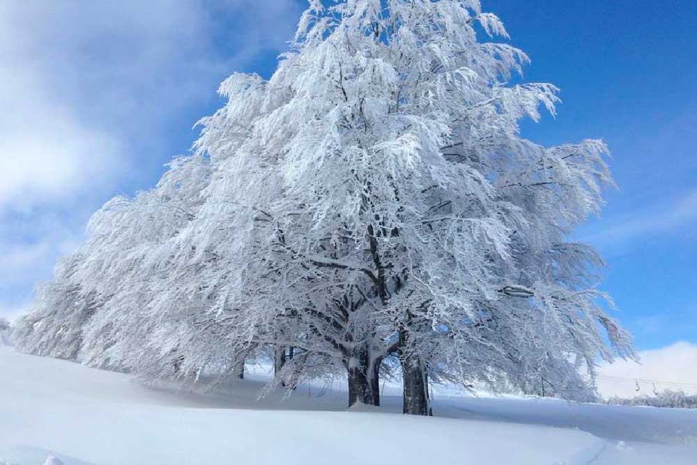 Prato Selva Roccaraso